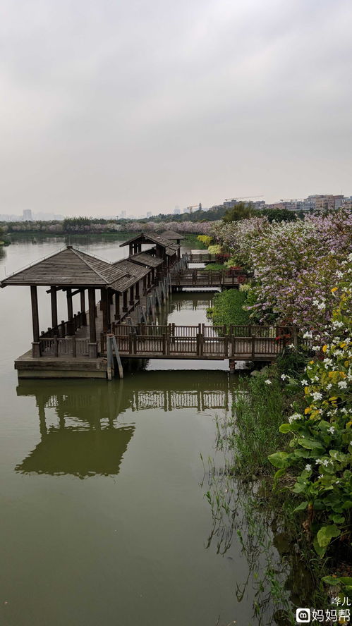 广州海珠湿地公园在哪个地铁出口,广州海珠湿地公园在哪个地铁出口最近