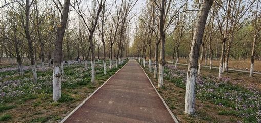 北辰郊野公园有什么好玩的,北辰郊野公园开放时间