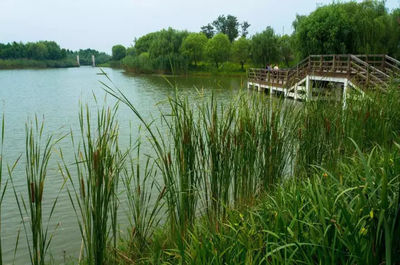 太湖湖滨国家湿地公园,太湖湖滨国家湿地公园开放时间