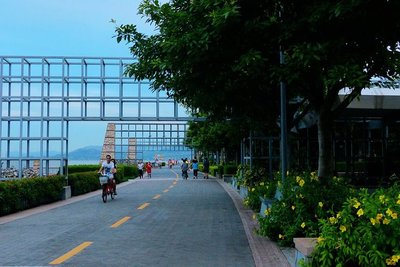 深圳红树湾生态公园,深圳红树湾生态公园开放时间