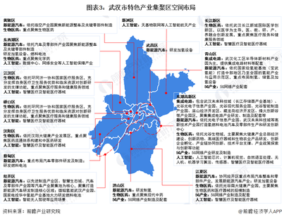 武汉区域分布图详细,武汉区域地图全图