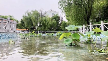 上海紫薇苑小区在什么位置,上海紫薇花园二手房价