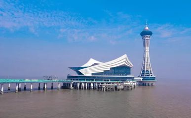 杭州湾跨海大桥设计理念,杭州湾跨海大桥项目背景