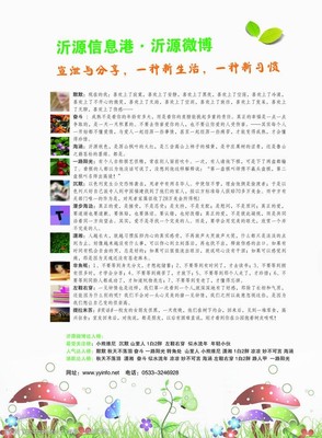 沂源信息港沂源找工作,沂源信息港分类